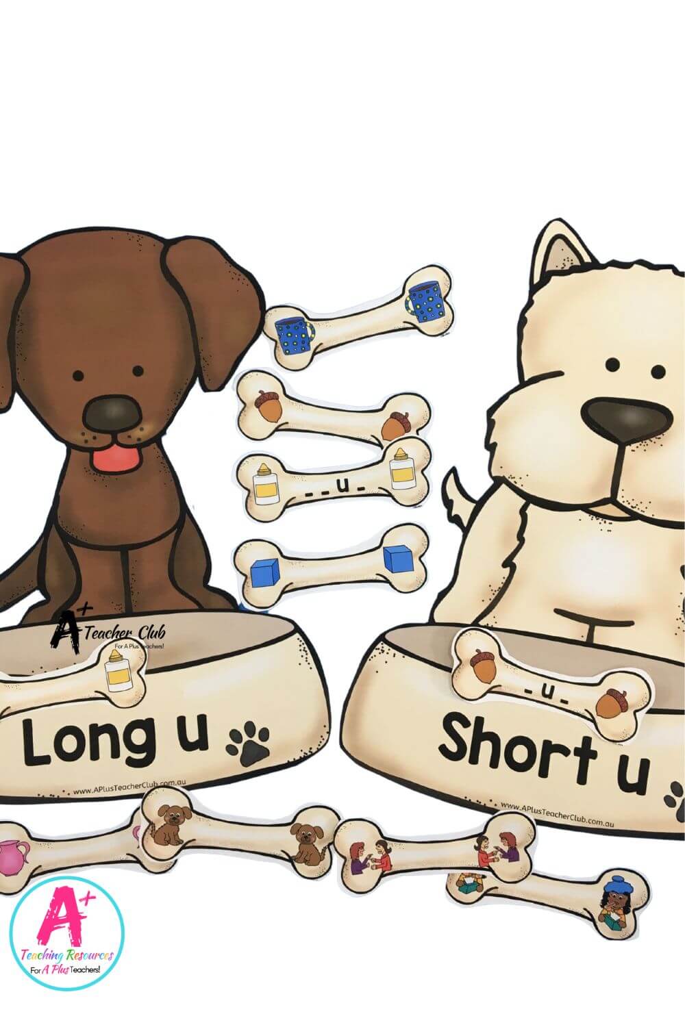 Long & Short Vowels Sorting Dog Theme