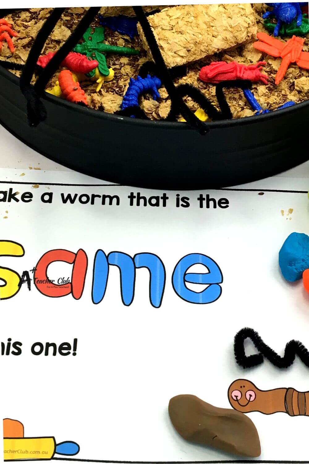 Playdough Mat Template Measuring Length Worms