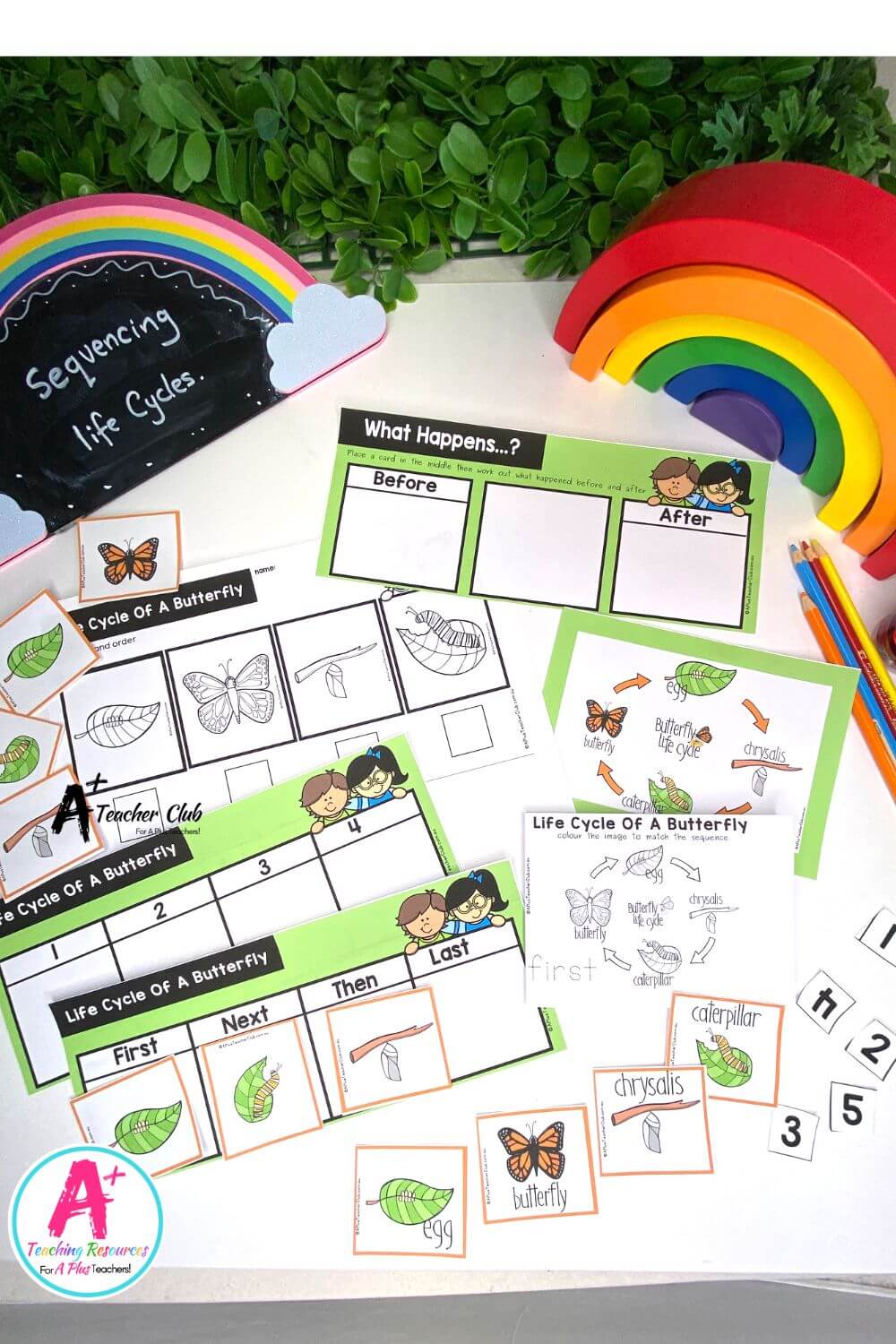 Life Cycle Sequencing 4 Steps - Butterfly Activities Pack