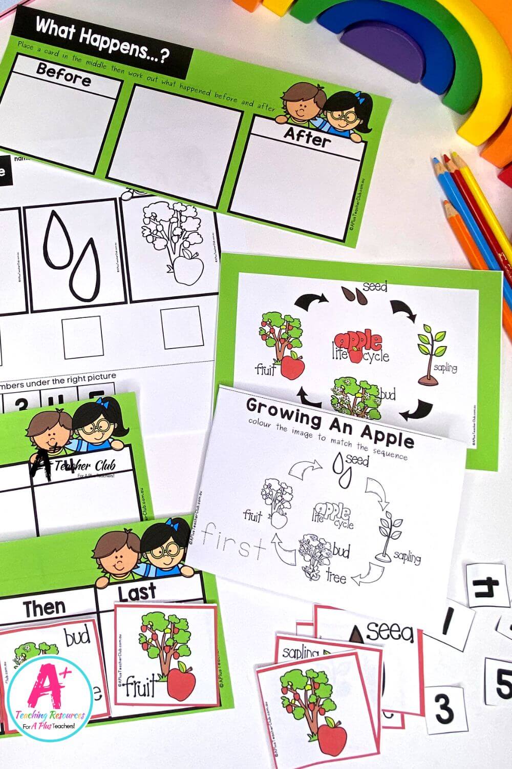 Life Cycle Sequencing 4 Steps - Apple Activities Pack