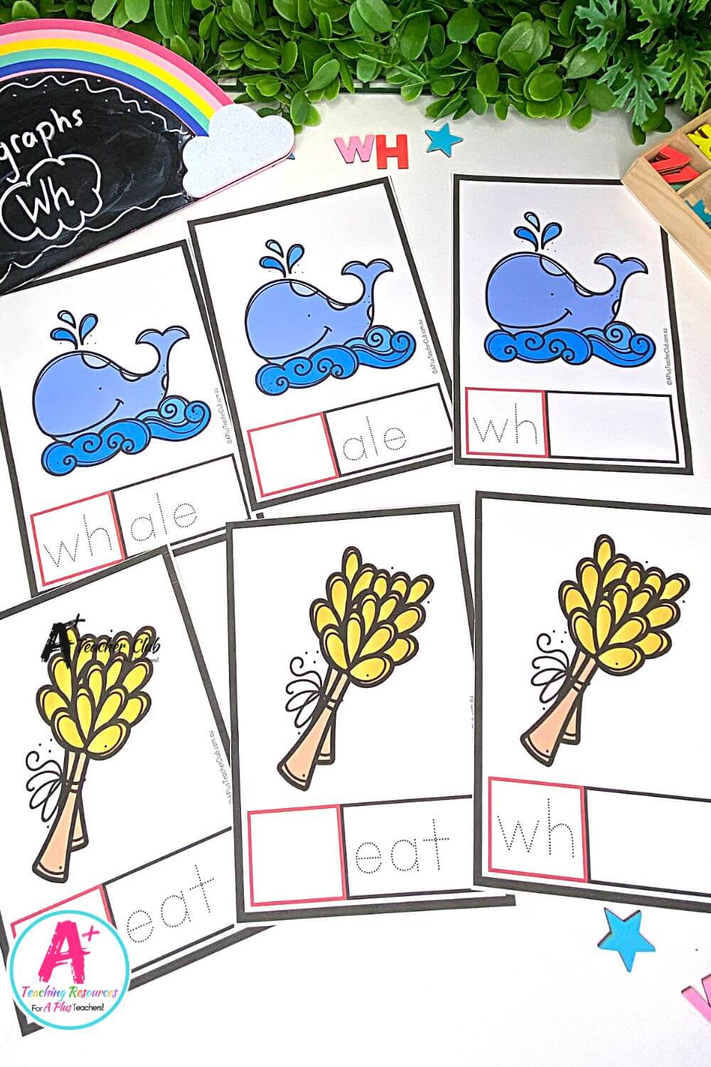 Initial wh Digraph Activities Flashcards