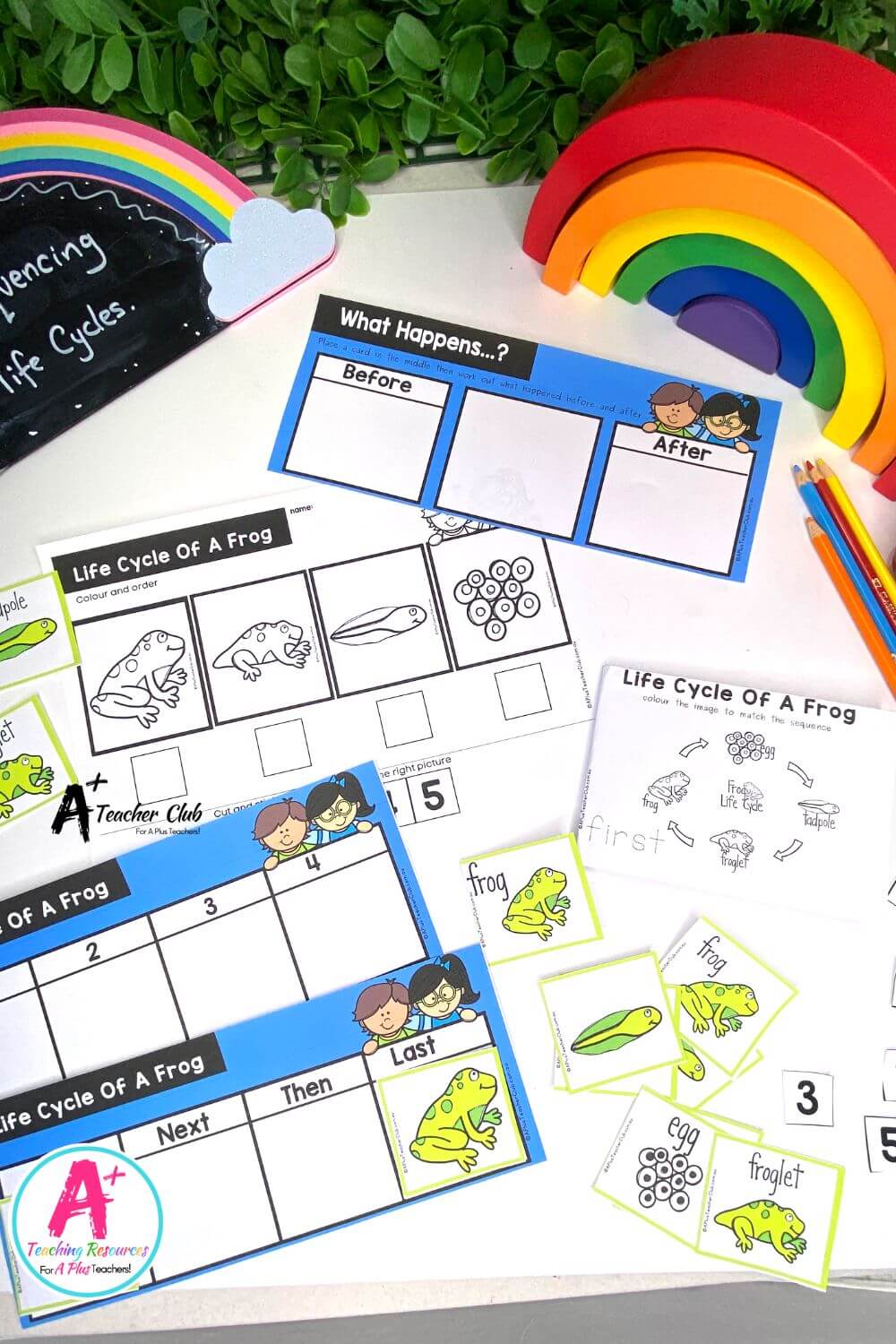 Life Cycle Sequencing 4 Steps - Frog Activities Pack