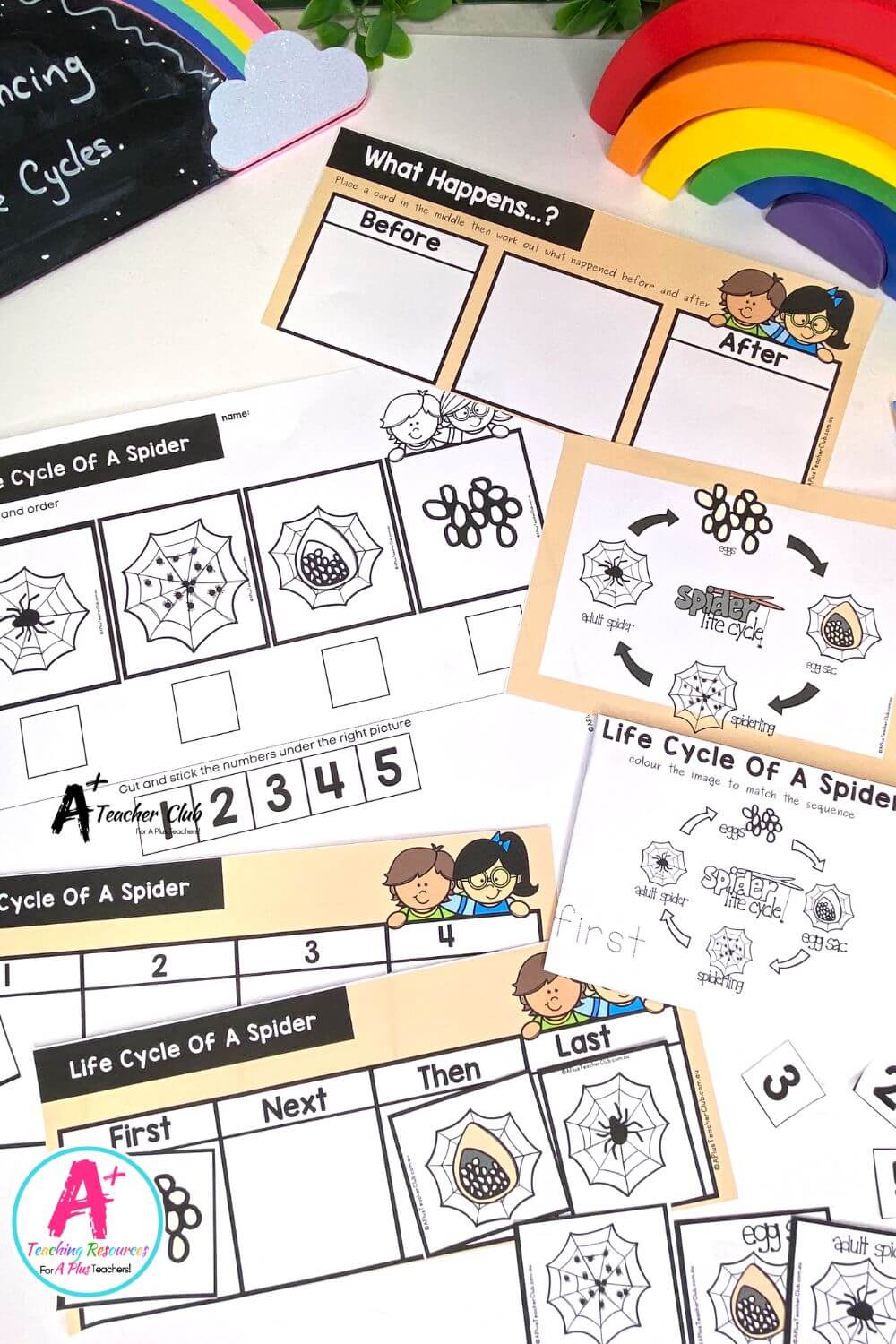 Life Cycle Sequencing 4 Steps - Spider Activities Pack