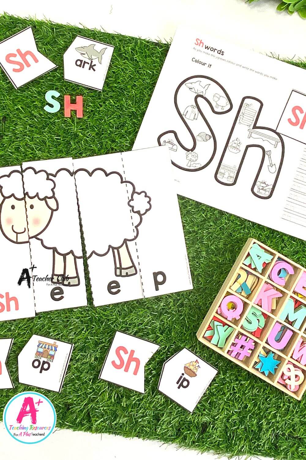 Initial sh Digraph Activities Strip Puzzles