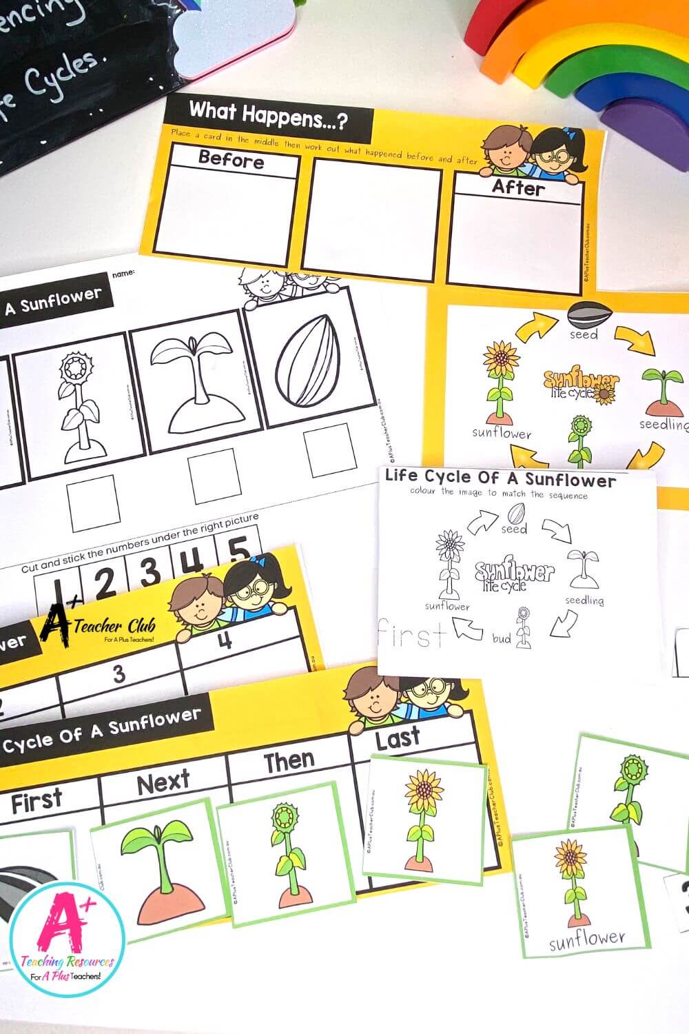 Life Cycle Sequencing 4 Steps - Sunflower Activities Pack