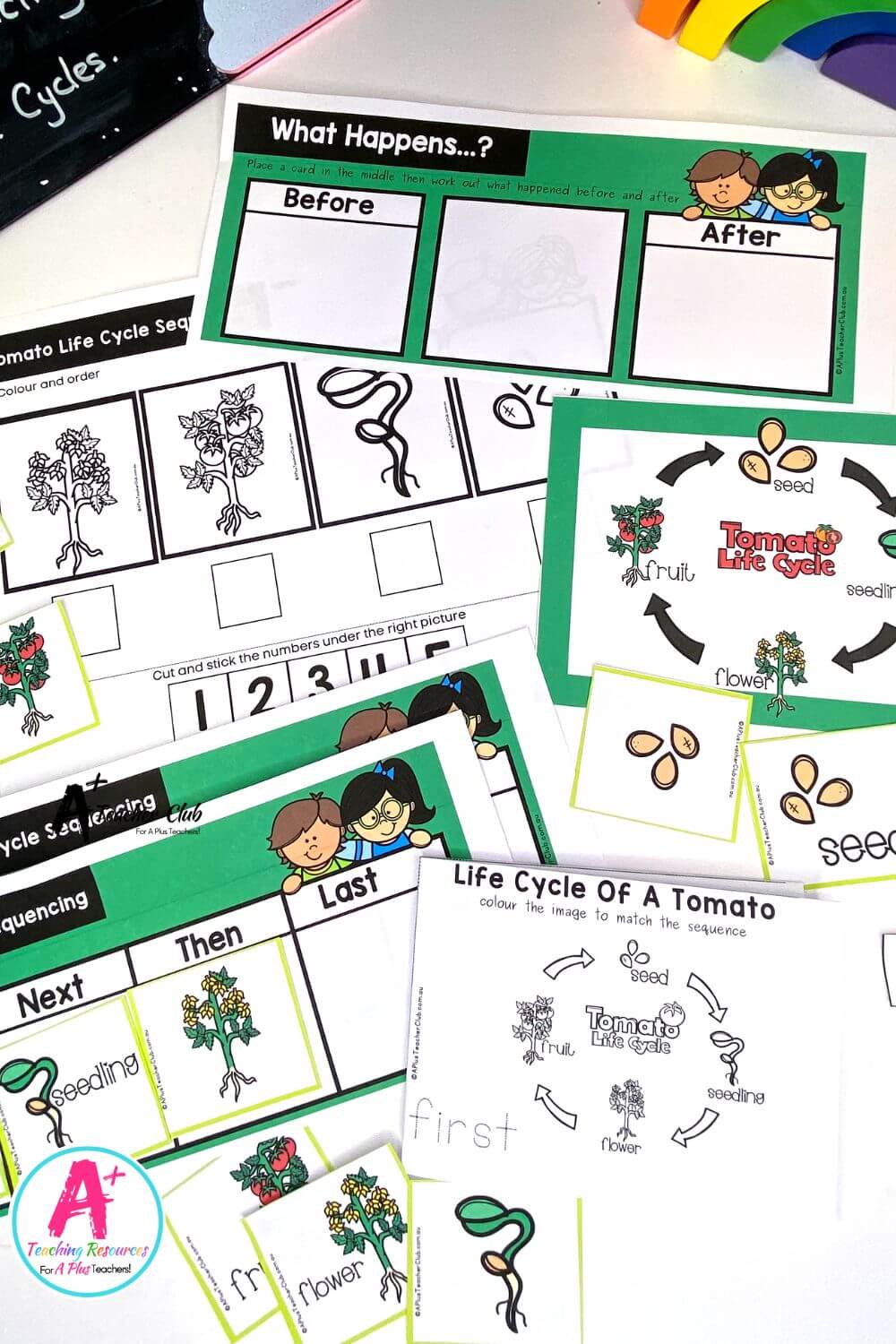 Life Cycle Sequencing 4 Steps - Tomato Activities Pack