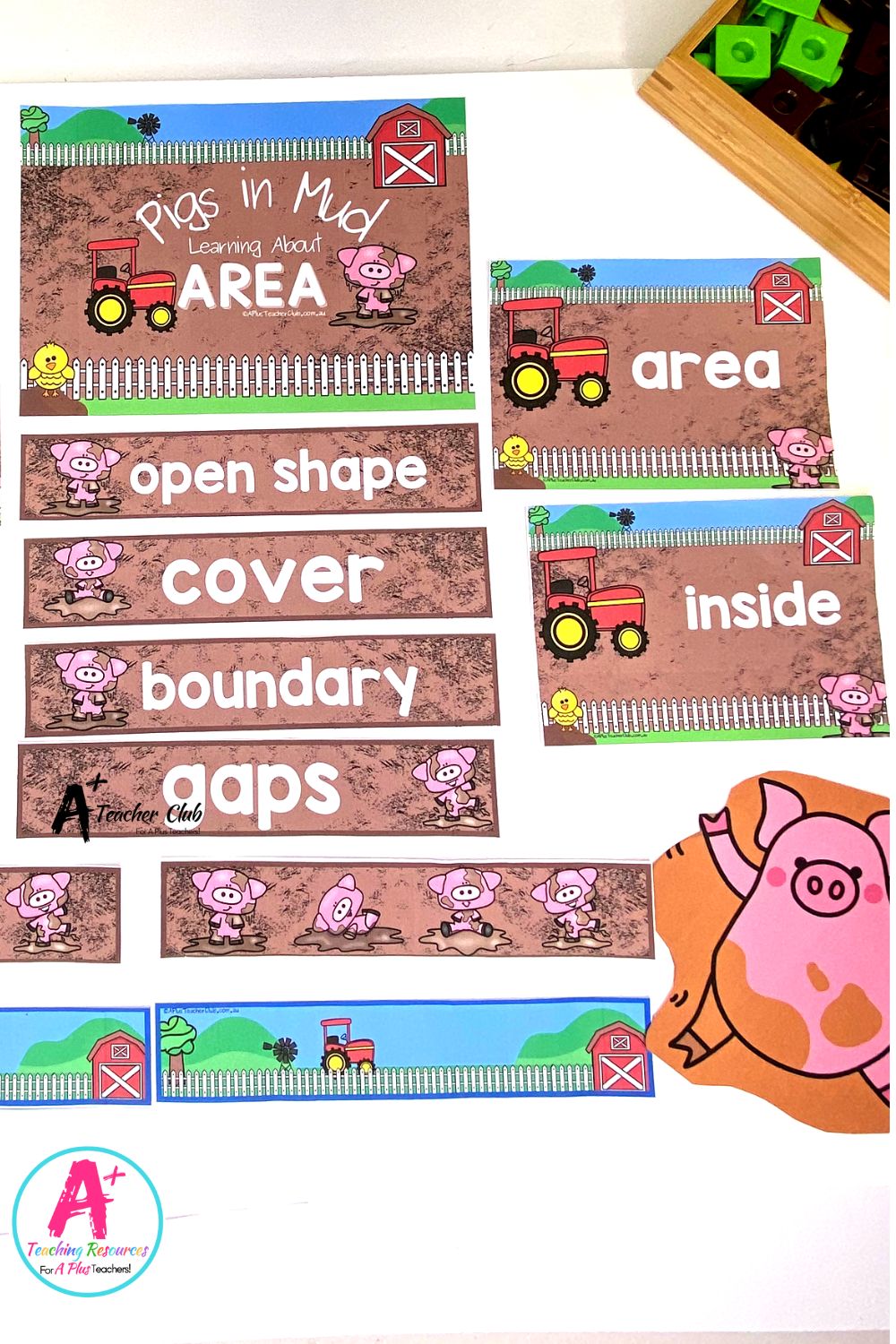 Non-Standard Area Piggy Display Pack