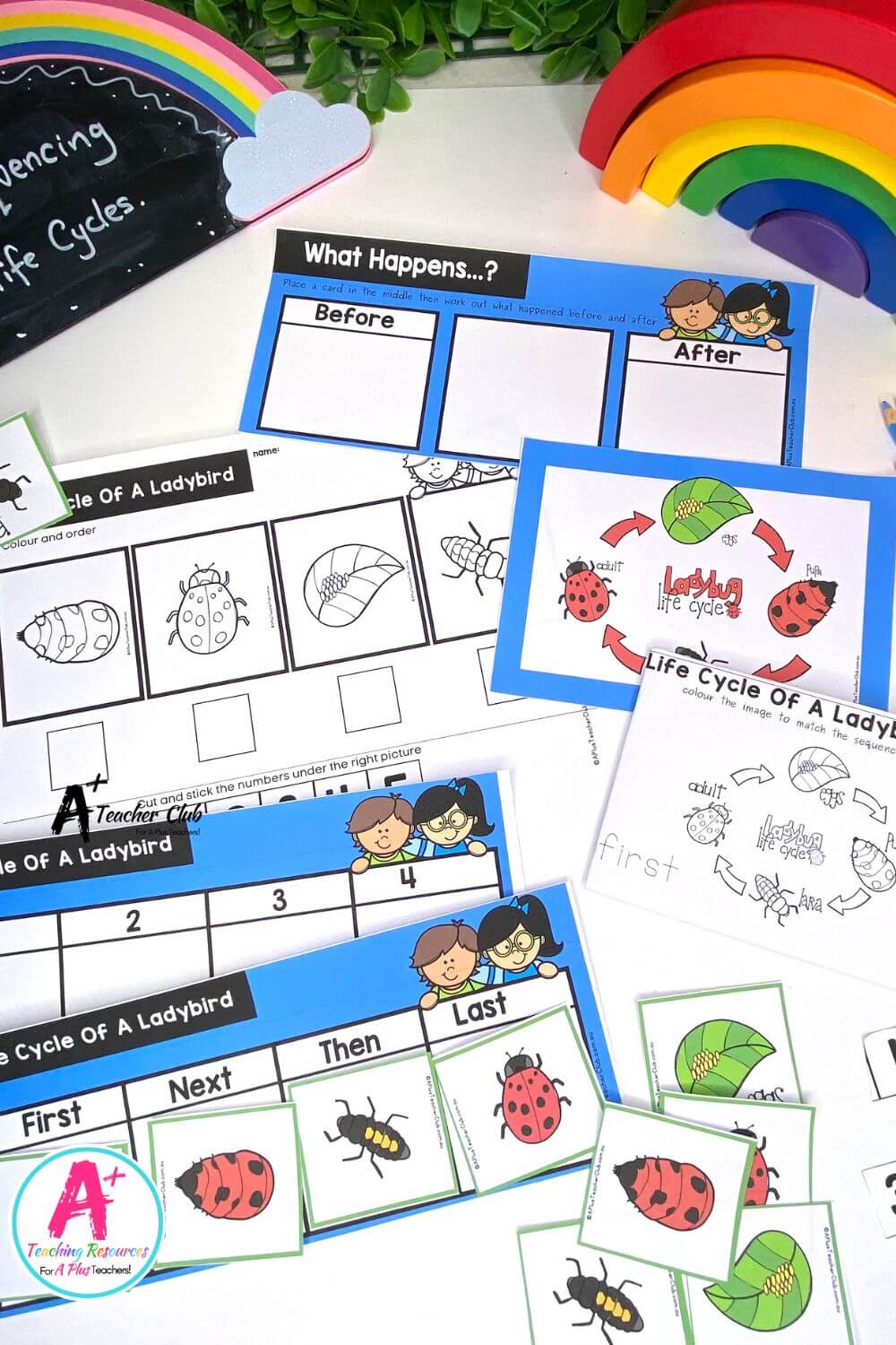 Life Cycle Sequencing 4 Steps - Ladybug Activities Pack