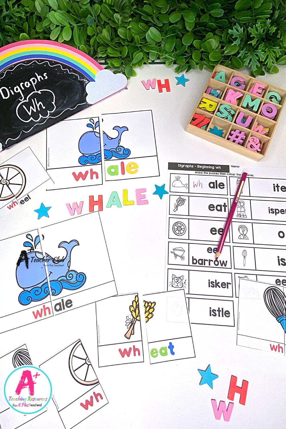 Initial wh Digraph Activities 2 Piece Colour Puzzles