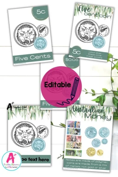 Eucalyptus Decor Maths Money Posters Editable