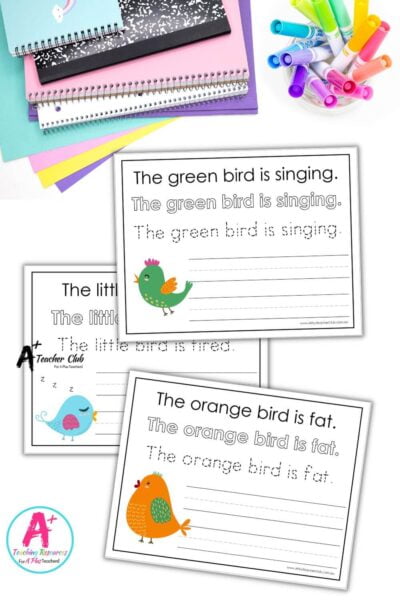 Read Trace Write  Sentences - Bird Worksheets