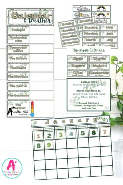 Eucalyptus Classroom Organization Class Weather & Calendar Charts