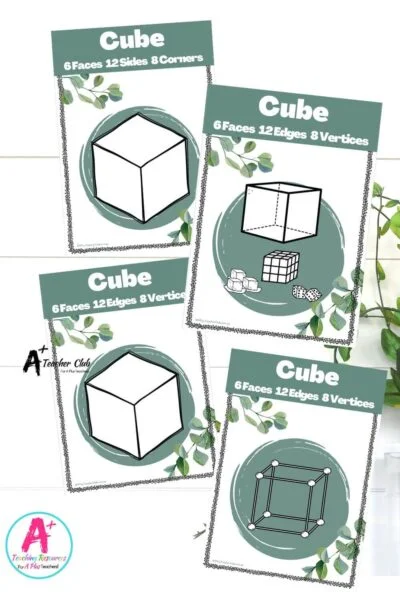 Eucalyptus Decor Maths 3D Shapes Posters