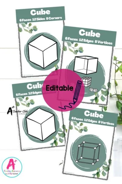 Eucalyptus Decor Maths 3D Shapes Posters Editable