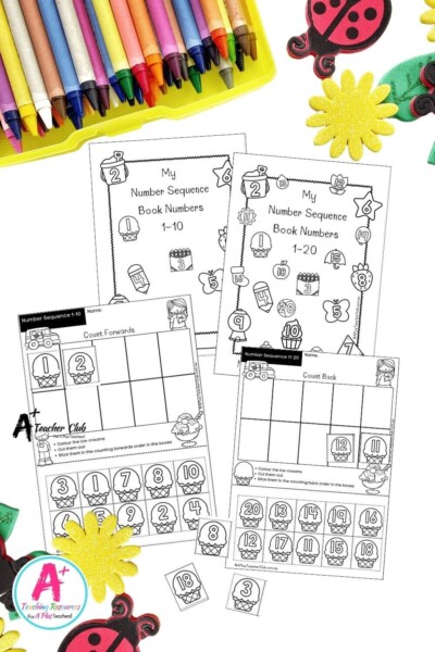 Number Sequence 1-20 Cut and Stick Worksheets