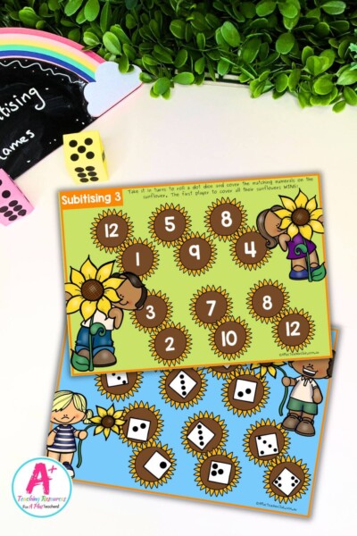 Sunflower Seeds Subitising Roll & Cover Games