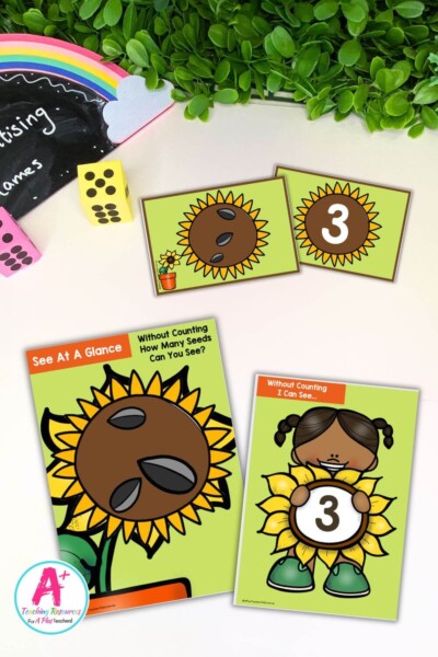 Sunflower Seeds Subitising Flashcards