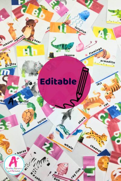 Rainbow Colours Literacy Decor Animal Alphabet Editable