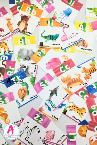 Rainbow Colours Literacy Decor Animal Alphabet